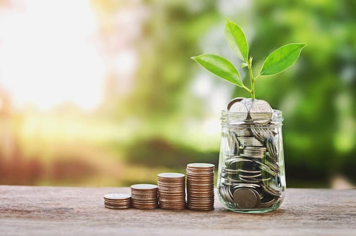 Plant-Growing-Coins in Clarksville